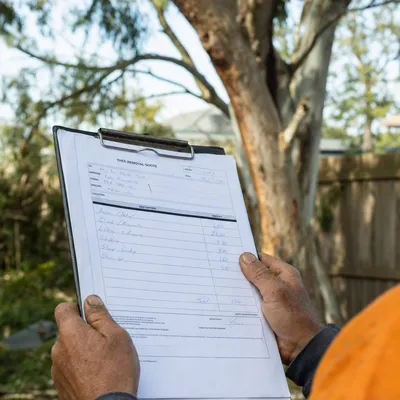Reading a written tree removal quote on site in Central Coast