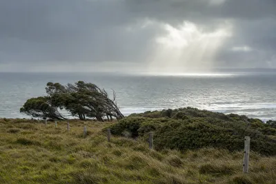 Storm and east-coast low damage, Central Coast