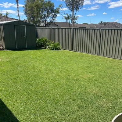 After: Storm limb through a Bateau Bay fence, Central Coast