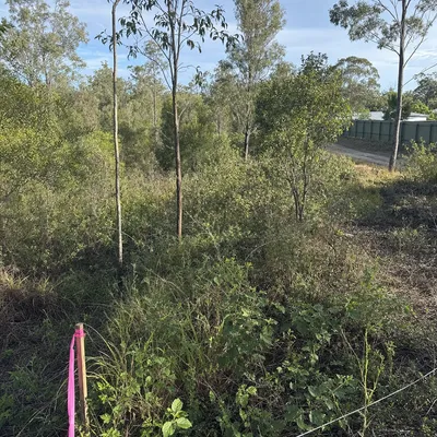 Before: Block prep near Tuggerah for a shed build, Central Coast