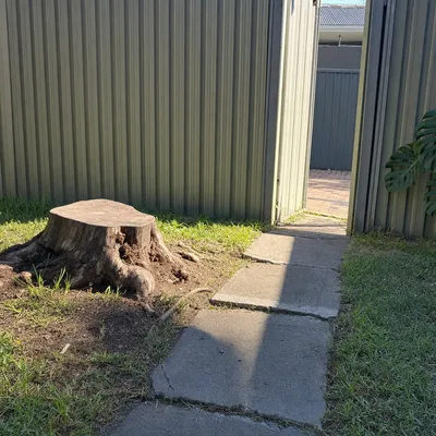 Before: Old stump grind through a narrow Long Jetty side gate, Central Coast