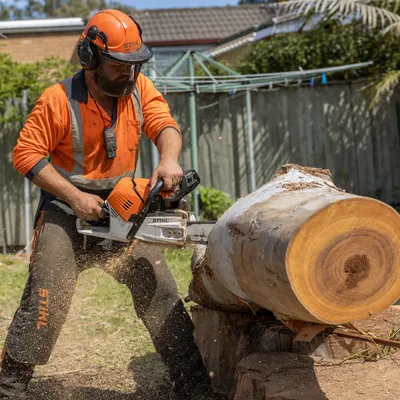 Tree Removal in Central Coast. Sectional removal of dead, damaged or unwanted trees on Central Coast blocks, including trees close to houses, fences and power lines.