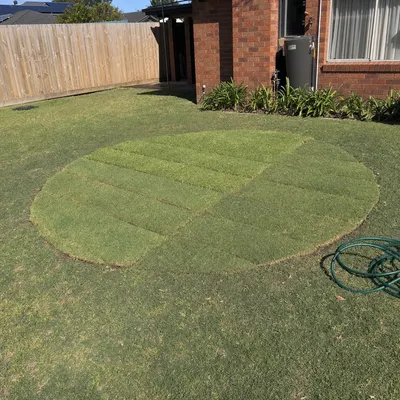 Stump ground below grade, Central Coast